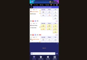 Bí Quyết Chinh Phục Cá Cược Bóng Đá RikVip Để Luôn Thắng