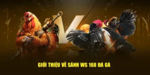 Chinh Phục Đá Gà WS168 Tại RikVip Với Tỷ Lệ Ăn Cực Khủng