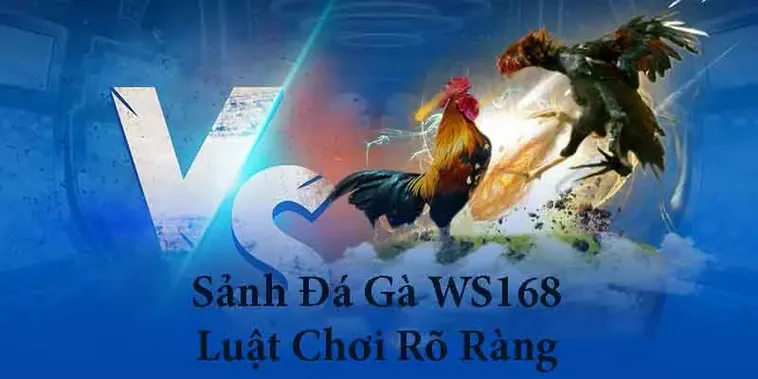 Chinh Phục Đá Gà WS168 Tại RikVip Với Tỷ Lệ Ăn Cực Khủng
