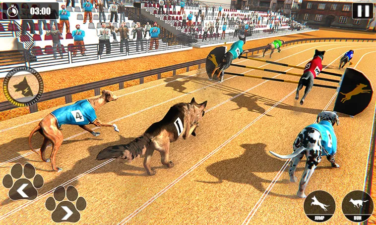 Chinh Phục Game Nhanh Đua Chó Tại RikVip Với Tốc Độ Và Cảm Xúc Đỉnh Cao Nhất