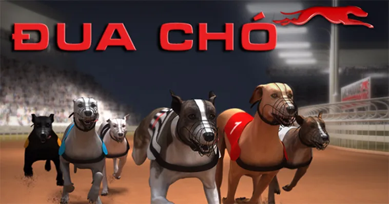 Chinh Phục Game Nhanh Đua Chó Tại RikVip Với Tốc Độ Và Cảm Xúc Đỉnh Cao Nhất